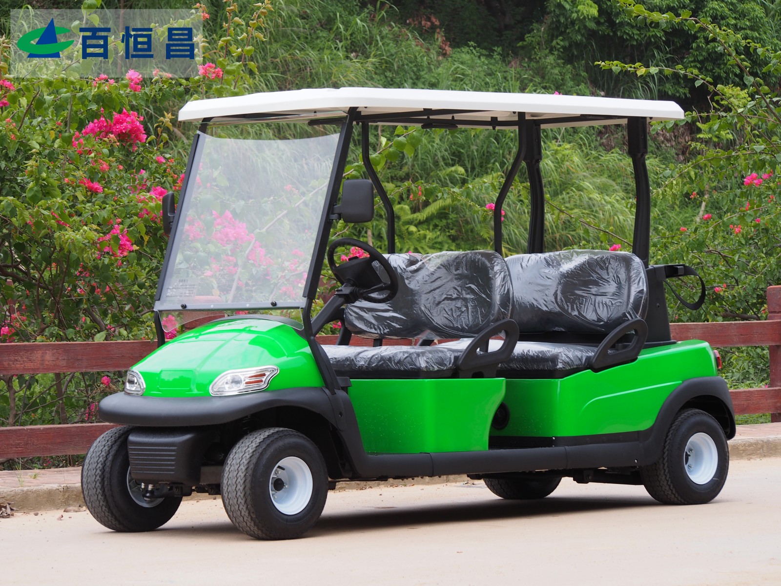 4座高尔夫球车 绿色